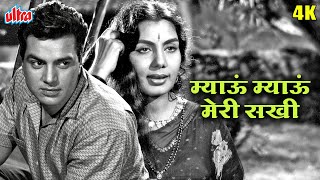 धर्मेंद्र और निम्मी का सुपरहिट सॉंग म्याऊं म्याऊं मेरी सखी | Meow Meow Meri Sakhi Classic Hindi Song