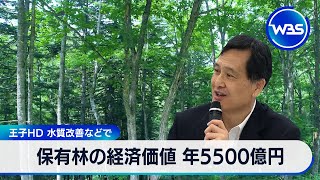 保有林の経済価値 年5,500億円　王子HD 水質改善などで【WBS】