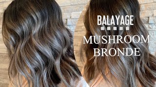 BALAYAGE | MUSHROOM BRONDE | Application + Formulation