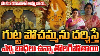 పాము రూపంలో ఉన్న గుట్ట పోచమ్మను దర్శిస్తే... | Powerful Gutta Pochamma Temple | @sumantvdharmapuri