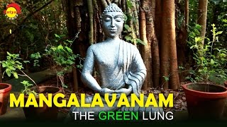 Mangalavanam | The Green Lung | Top Documentary