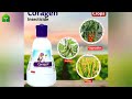 fmc coragen insecticide full details in telugu fmc coragen coragen insecticide fmc shorts