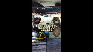 通常から車中泊モードへの換装はこんな感じです。【気ままに軽キャン･気軽に車中泊】 #Short #Shorts