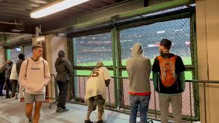 How to Watch a Baseball Game For Free at Oracle Park: San Francisco's Best-Kept Secret?