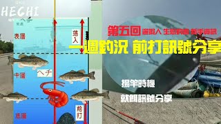 [遛蝦人] 前打 生態釣查 第五回 前打新手入門 基礎前打訊號解析 開槍揚竿時機