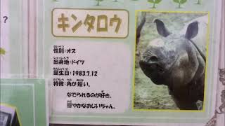 【食事中】インドサイ（キンタロウ）@金沢動物園20201227