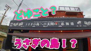 【夫婦旅行　広島県大久野島】え！？何ここ。こんな島あんの！？ウサギ島