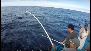 Fishing video, Pesca Açores, pesca ao encharéu, fishing White Trevally,  profissional fishing