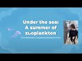 Under the sea: A summer of zooplankton, by EarthLab summer 2022 intern Chloe Rabinowitz