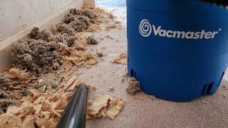 Vacmaster wet/dry vac