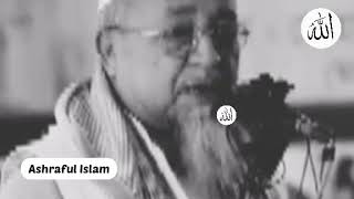 আল্লামা মামুনুল হকের একটি দোষ বললেন ২০২১ |Allama Mamunul Haque 2021 |Ashraful Islam.