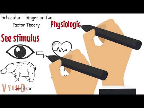 How do body reactions relate to emotions according to the James Lange Theory quizlet?