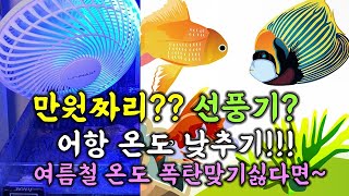 만원짜리 👜 클립형 선풍기로 여름철 온도폭탄 맞지 말고 ☔️👜어항에 설치바람!