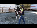 showmanship tip pivoting