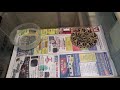 feeding monster baby neotropical rattlesnakes feeding venomous snakes