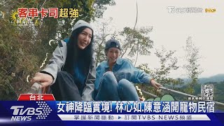 《光開門就很忙了》林心如聯手陳意涵開寵物民宿｜TVBS娛樂頭條 @tvbsforfun