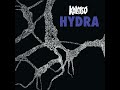 hydra