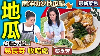 蔡季芳：常用食材「地瓜」多品種大集合！紅肉、黃肉、紫心、栗子地瓜，適度採買、保存要放陰涼處！地瓜葉要「這樣悶」才不變黑！南洋風味營養滿分：南洋laksa地瓜鍋【健康好生活】