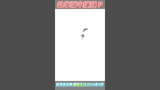 SP173_P_幼隼雨中練飛_2024酋長岩幼隼離營生活_6月2日