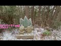 【金剛山】（大阪 奈良）ツツジオ谷ルートで金剛山頂へ！氷瀑・雪像に感動😆登山道に危険⚠️箇所もあるのでご確認ください mount kongō