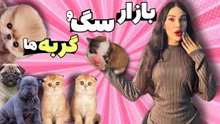 ولاگ خرید سگ و گربه 🤩خوش قیمت ترین سگ و گربه های بازار حیوانات در این هفته, Animal BAZZAR