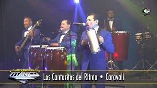 Los Cantaritos del Ritmo - Caravali,(Video Oficial)