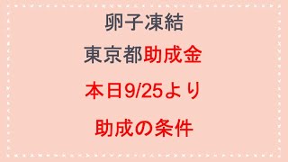 東京都卵子凍結助成金について解説 #shorts #妊活  #不妊治療 #体外受精 #卵子凍結 #てんちむ