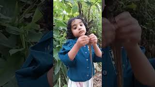 മോൾടെ പേരെന്താ #youtubeshorts #funny #comedy #cutebaby