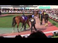 ＪＢＣレディスクラシック jpni 　パドック映像　金沢競馬　2013年　競馬タウン