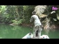 Malaysia Iron Man Fishing   ~