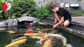 DIY beautiful outdoor Koi aquarium