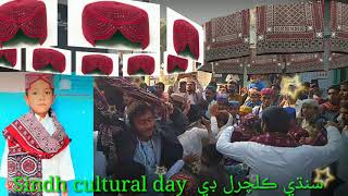 Sindh cultural Day سنڌي ثقافت ڏھاڙو