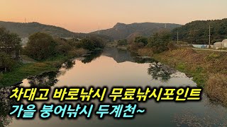 차대고 바로 낚시가 가능한 무료낚시터를 소개합니다.[계룡시부터 대전까지] 🎣 #민물낚시 #붕어낚시 #낚시터