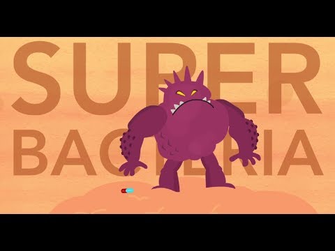 What are 2 types of bacteria that make us ill?