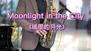 《城里的月光》萨克斯风|Moonlight in the City Relaxing Music|Alto#音乐2022#saxophonemusic#中音萨克斯管