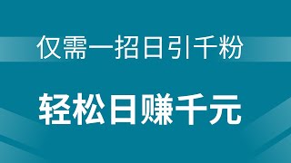 新手网赚，分享网上赚钱项目！新手仅需一招日引千粉，轻松日赚千元！