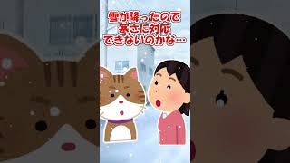 【2ch】猫に残高の少ない通帳を見せてみたら…【アニマル】 #Shorts