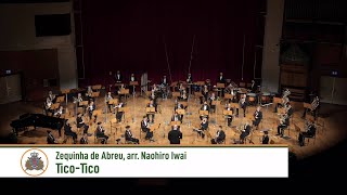 Tico-Tico - Zequinha de Abreu, arr. Naohiro Iwai (Luxembourg Military Band)