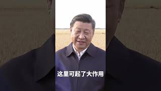 习近平：中国人要把饭碗端在自己手里，而且要装自己的粮食 #习近平 #習近平