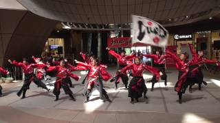 梅光学院大学よさこいダンス部LUCIS  わっしょいYOSAKOI北九州2016　リバーウオーク会場