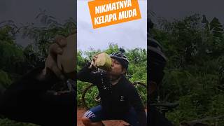 BEGINILAH NIKMATNYA KELAPA MUDA RUMPIN