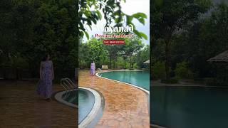 Wayanad Family Pool Resort | Wayanad Resort | #travel #travelvlog #wayanad #shorts #short #trending