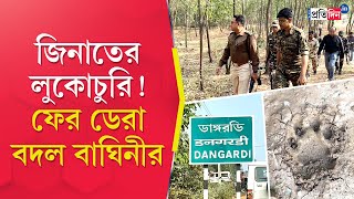 Purulia: Tigress Zeenat takes refuge in the forest of Dangardi close to populated area