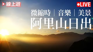 【公視 LIVE直播】阿里山看日出🌅 在家賞美景線上遊 (畫面提供:阿里山風管處) | 生力農場 | 台灣風景 | 日出 | Alishan Live Cam ｜Taiwan