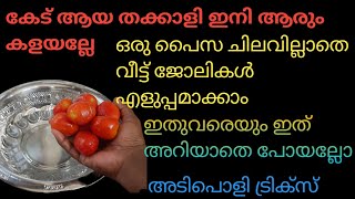 കേടായ തക്കാളി കളയുന്നതിനു മുൻപ് ഇതൊന്നു കണ്ട് നോക്കു തക്കാളി ഇനി ആരും കളയില്ല