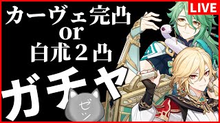 【原神】物欲センサーを散らして白朮２凸とカヴェ完凸を達成させる男【Genshin Impact】