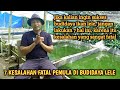 7 KESALAHAN PEMULA SAAT MULAI BUDIDAYA IKAN LELE