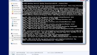 Standard Java Web Security