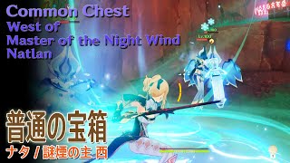 【原神】普通の宝箱/ナタ/謎煙の主 西 [Common Chest,Natlan,Western Master of the Night Wind,Genshin Impact,80013]