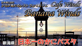 日本一の蟹パスタを日本海の夕日と一緒に【バナナウインズ】食べて飲んで泊まれるロッジ併設海辺のレストランカフェ 長岡市寺泊　BANANA WINDS＆CAFE WINDS